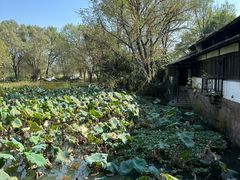 -西溪国家湿地公园