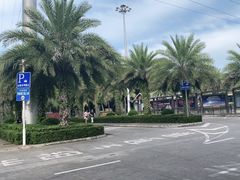 -万绿园
