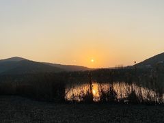 -长广溪湿地公园