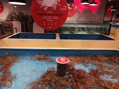 -日进一片海.生腌海鲜火锅.宵夜烧烤(三里屯总店)