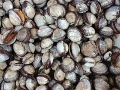 -宾朋海鲜特色美食餐厅·纯手工鲅鱼水饺(兴海路店)