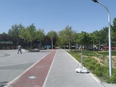 -绿堤公园
