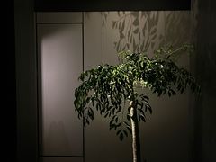 -深圳滨河时代ICON LAB艾垦酒店