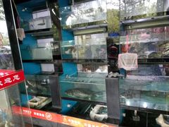 水产区-全乐鱼馆·淳牌有机鱼直营店