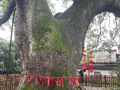 -新安江山水画廊风景区