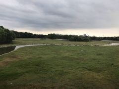 -北京麋鹿生态实验中心