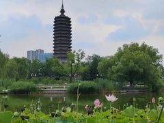 -西海子公园