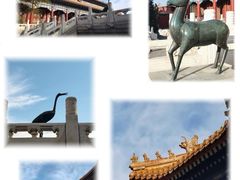 -景山公园