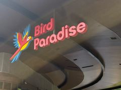-新加坡飞禽公园