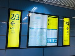 -大龙山(地铁站)