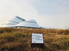 -哈尔滨大剧院