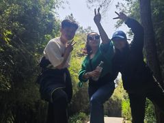 -铁山坪森林公园