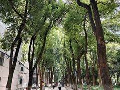 -中南财经政法大学(首义校区)