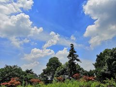 -铁山坪森林公园