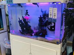 -龟与熊猫宠物公园(南坪店)