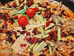 -老板恋上鱼(恒隆广场店)