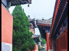 -北京艺术博物馆(万寿寺)