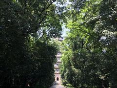 -灵谷景区