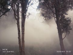 -淄博聊斋城景区