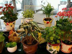 picture-家琳甜品(江南东店)