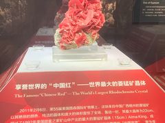 -湖南省地质博物馆