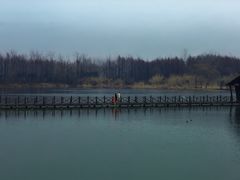 -溱湖国家湿地公园