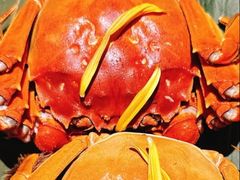 -成隆行·蟹王府(淮海店)