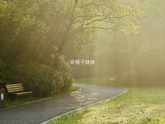 -桃花岛景观公园