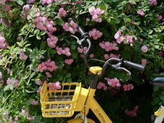 -元大都城垣遗址公园