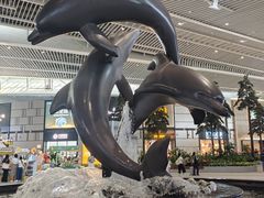 -青岛胶东国际机场