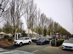 -九十九顶毡房(阜石路店)