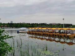 -长春市南湖公园