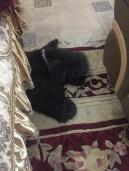 -杉惠素颜美妆皮肤管理中心