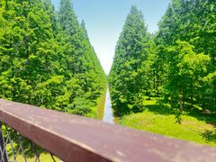 -黄海国家森林公园