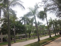 -厦门大学(思明校区)