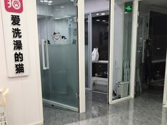 -爱洗澡的猫(望京店)