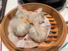 -新兴·金羊座·粤菜点心(乐峰店)