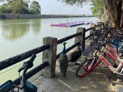 -大湾区中央湿地公园