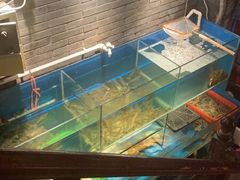 水产区-吉友粥底火锅(方斜路店)