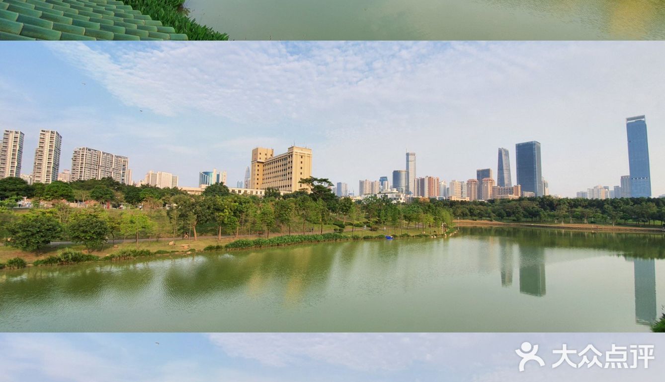 深圳人的后花园|满足你一切愿望的宝藏公园
