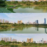 深圳人的后花园|满足你一切愿望的宝藏公园