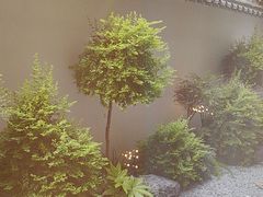 -农夫大盘鸡(经八路总店)