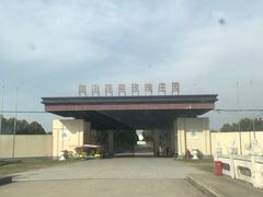 -海上花岛玫瑰园采摘