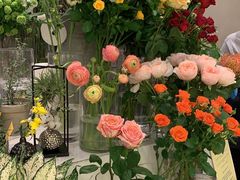 -Flannel Flowers(IFC)