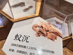 -中国沉香文化博物馆