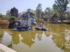 -东莞植物园
