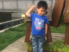 -田园东方蜜桃村的田野营地
