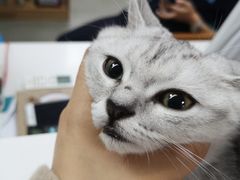 -奈斯宠物医院·核磁CT·异宠专科·内镜(中南店)