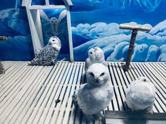 -成都浩海立方海洋公园