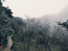 景点-梦幻奥陶纪景区